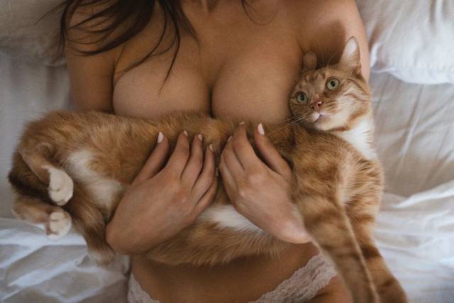 grownup corner 63 pics 8.html - 63 HD Photos | Premium Gallery 2018