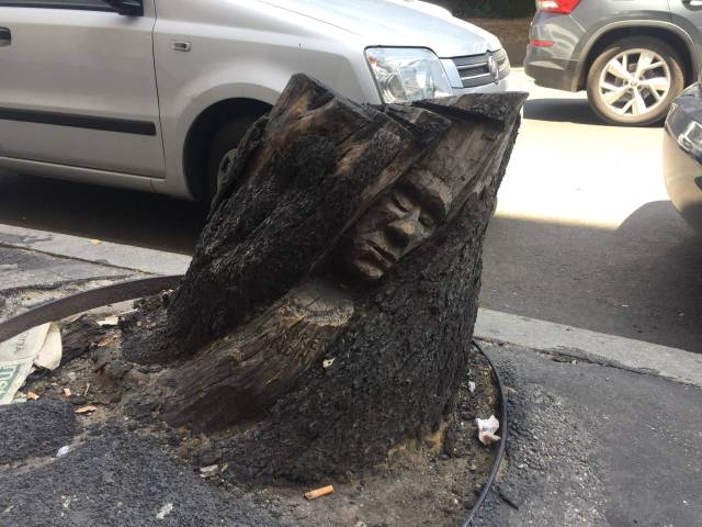 morning picdump 51 pics 5.html - 51 HD Photos | Premium Gallery 2018