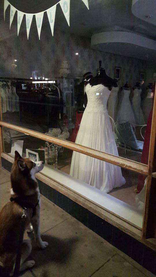 morning picdump 51 pics 5.html - 51 HD Photos | Premium Gallery 2018