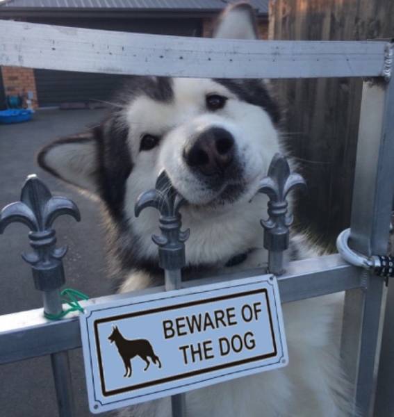 Daily Picdump [WEEKEND EDITION]