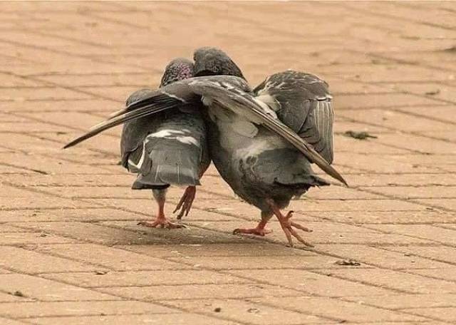 Daily Picdump [WEEKEND EDITION]