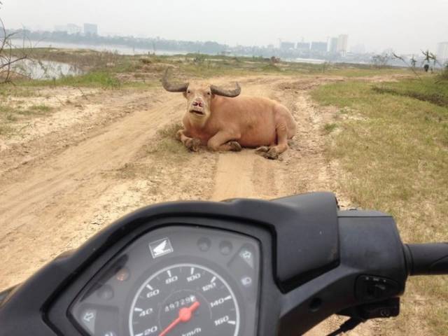 Daily Picdump [WEEKEND EDITION]