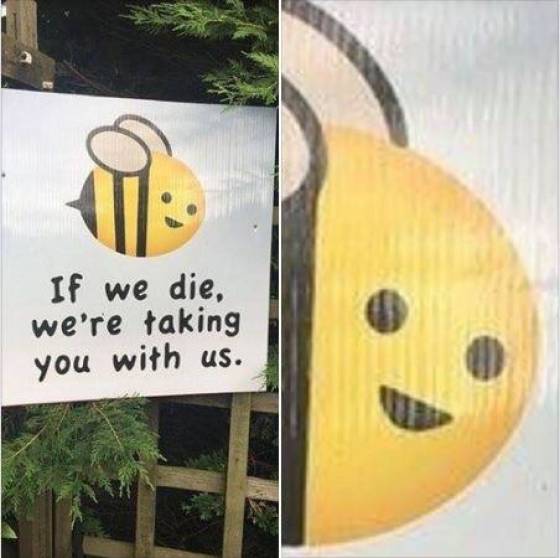 Daily Picdump [WEEKEND EDITION]
