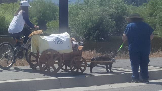 daily picdump weekend edition 50 pics 5.html - 50 HD Photos | Premium Gallery 2018