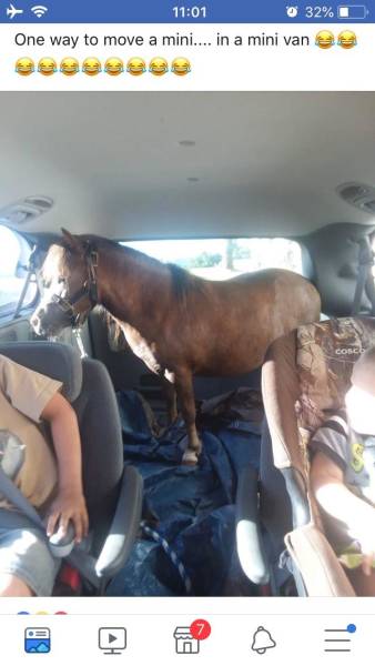daily picdump weekend edition 50 pics 5.html - 50 HD Photos | Premium Gallery 2018