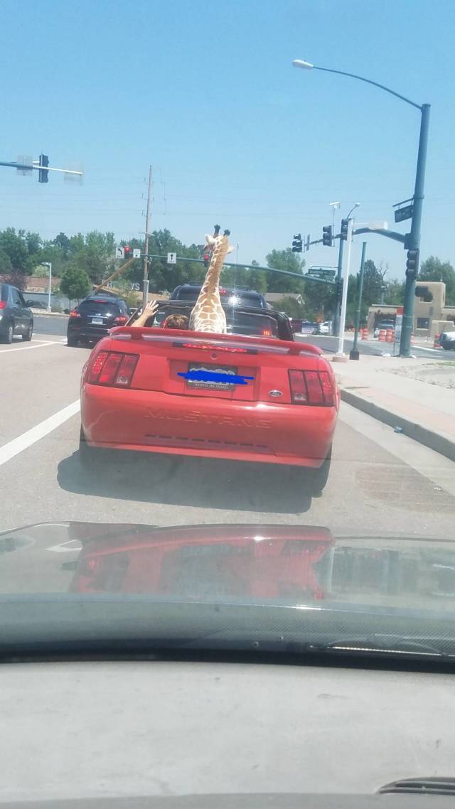 daily picdump weekend edition 50 pics 5.html - 50 HD Photos | Premium Gallery 2018