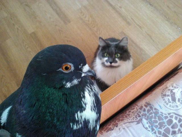 daily picdump 97 pics 36.html - 97 HD Photos | Premium Gallery 2018