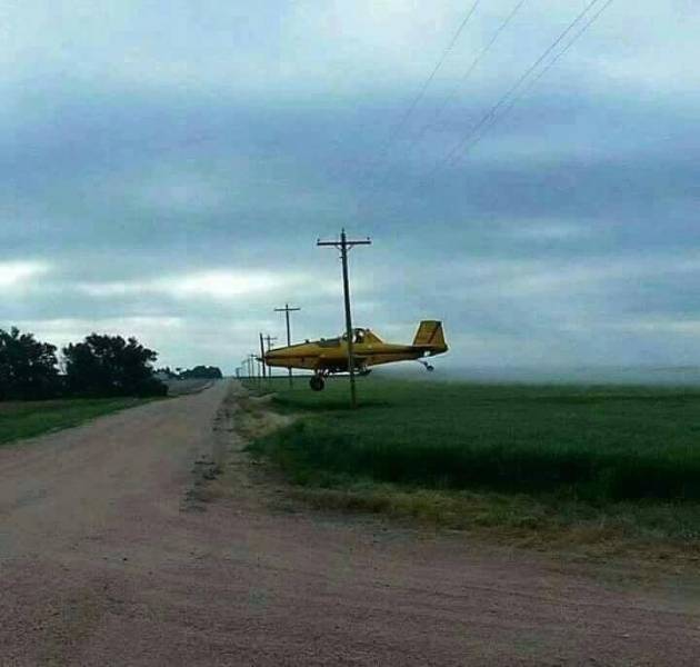 daily picdump 97 pics 36.html - 97 HD Photos | Premium Gallery 2018