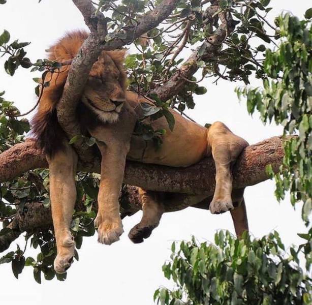 daily picdump 97 pics 36.html - 97 HD Photos | Premium Gallery 2018