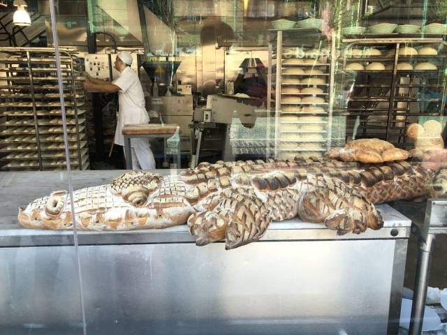 daily picdump 97 pics 36.html - 97 HD Photos | Premium Gallery 2018