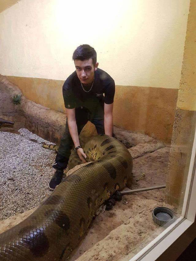 daily picdump 97 pics 36.html - 97 HD Photos | Premium Gallery 2018