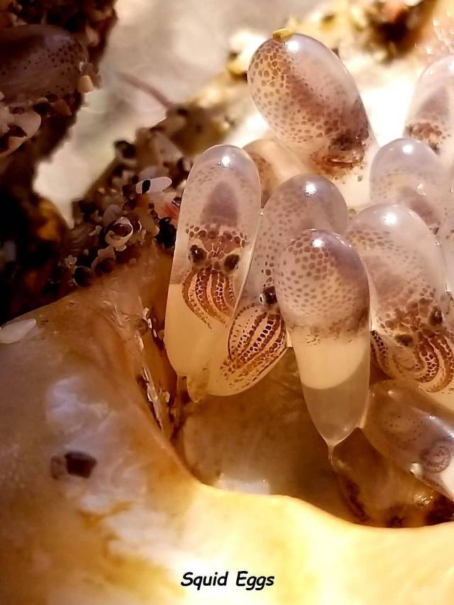 daily picdump 97 pics 36.html - 97 HD Photos | Premium Gallery 2018