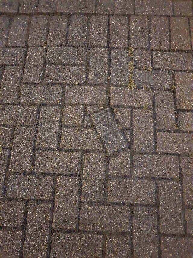 daily picdump 97 pics 36.html - 97 HD Photos | Premium Gallery 2018