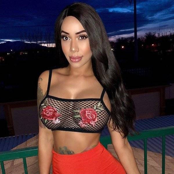 Mesh Dresses Can Hide Very Little From You