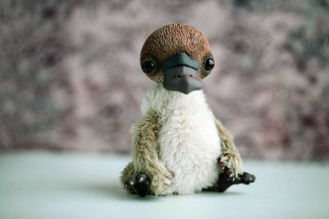 morning picdump 53 pics 2.html - 53 HD Photos | Premium Gallery 2018