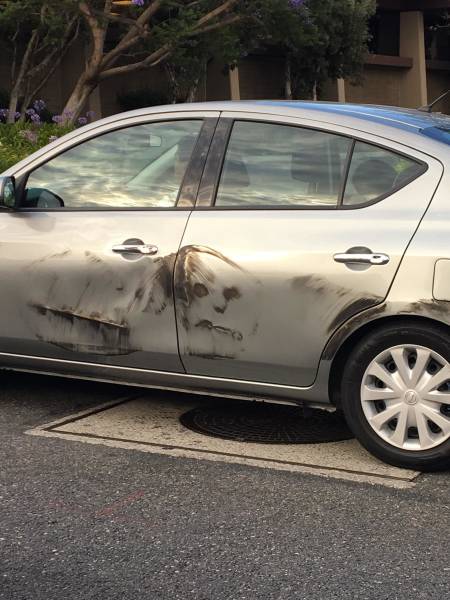 morning picdump 53 pics 2.html - 53 HD Photos | Premium Gallery 2018