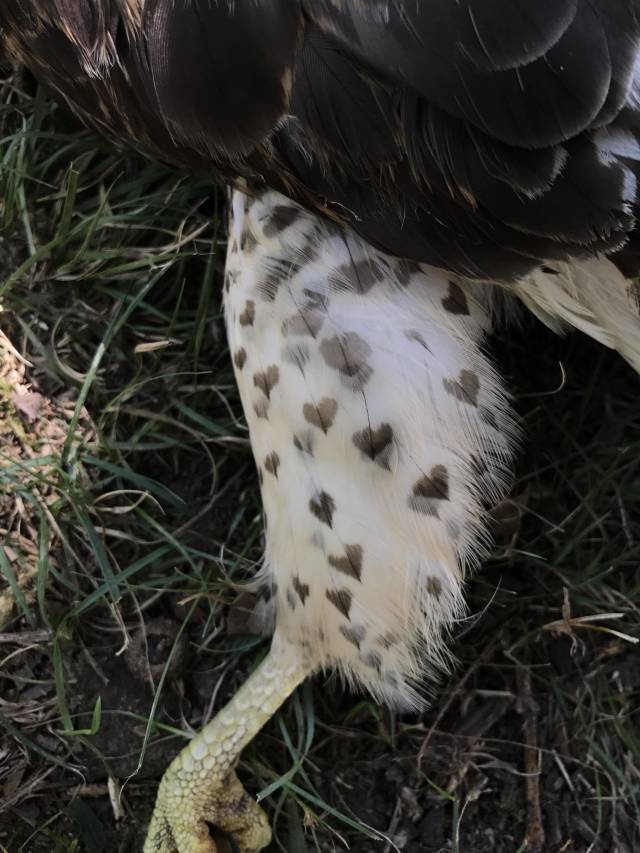 morning picdump 53 pics 2.html - 53 HD Photos | Premium Gallery 2018