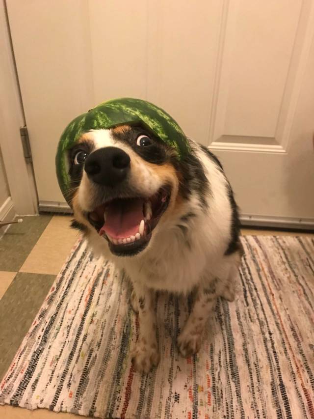 morning picdump 53 pics 2.html - 53 HD Photos | Premium Gallery 2018