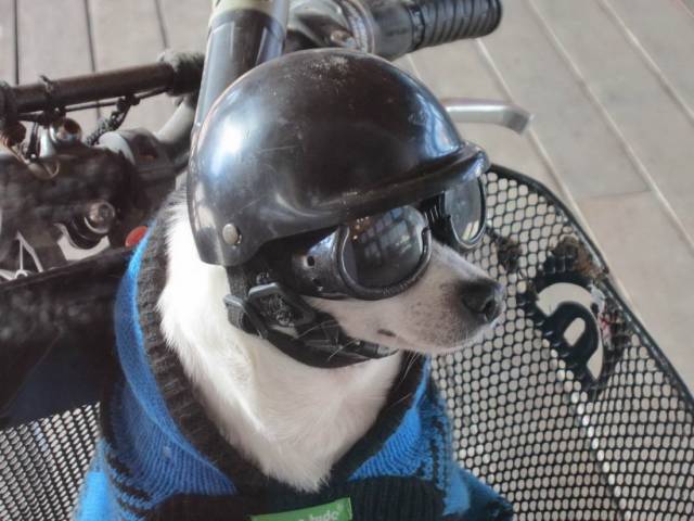 daily picdump 98 pics 8.html - 98 HD Photos | Premium Gallery 2018