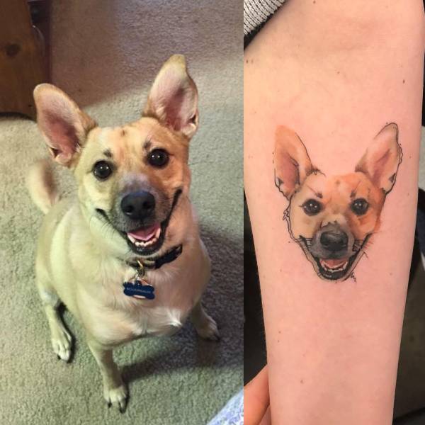 daily picdump 98 pics 8.html - 98 HD Photos | Premium Gallery 2018