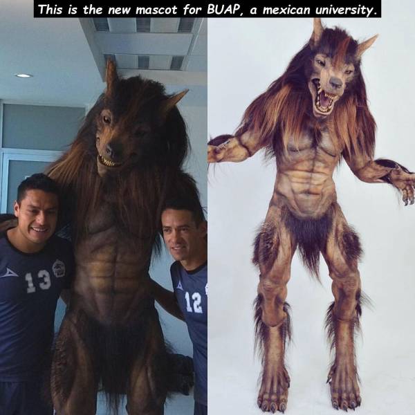 daily picdump 98 pics 8.html - 98 HD Photos | Premium Gallery 2018