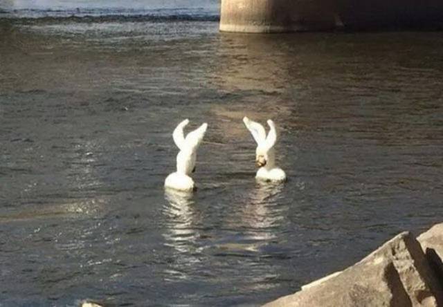 daily picdump 98 pics 8.html - 98 HD Photos | Premium Gallery 2018