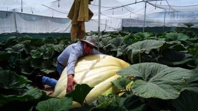 daily picdump 98 pics 8.html - 98 HD Photos | Premium Gallery 2018