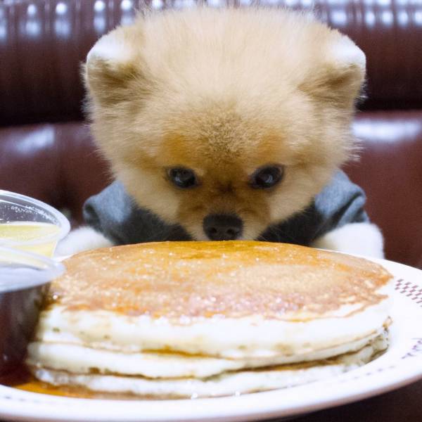 daily picdump 98 pics 8.html - 98 HD Photos | Premium Gallery 2018