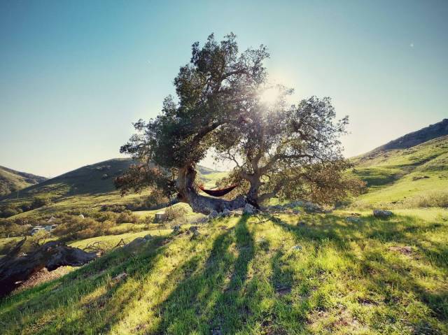 daily picdump 98 pics 8.html - 98 HD Photos | Premium Gallery 2018