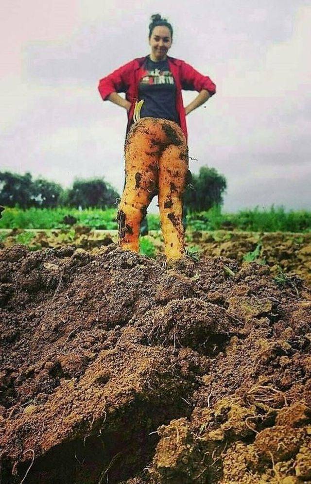 daily picdump 98 pics 8.html - 98 HD Photos | Premium Gallery 2018