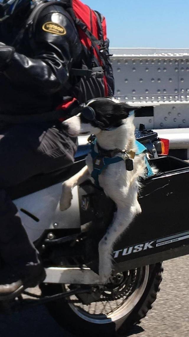 daily picdump 98 pics 8.html - 98 HD Photos | Premium Gallery 2018