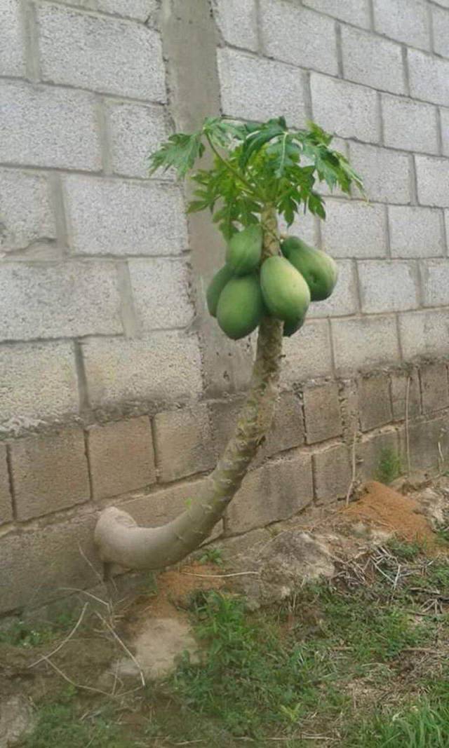 daily picdump 98 pics 8.html - 98 HD Photos | Premium Gallery 2018