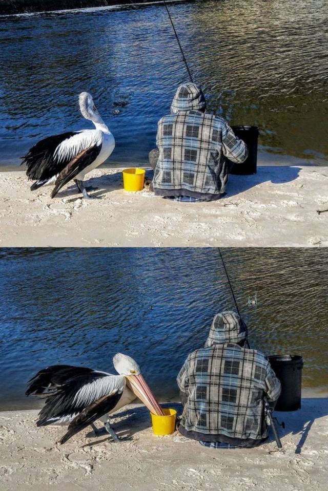 daily picdump 98 pics 8.html - 98 HD Photos | Premium Gallery 2018