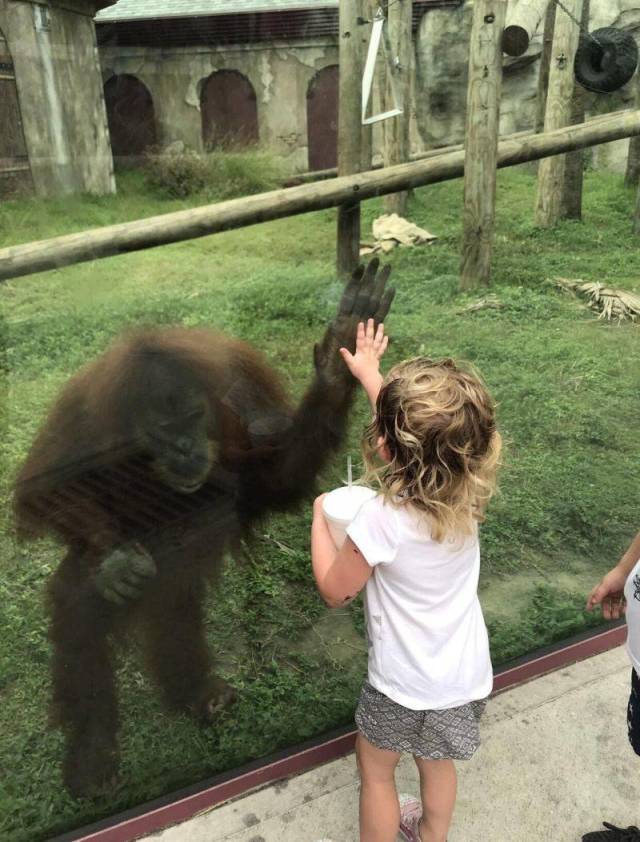 daily picdump 98 pics 8.html - 98 HD Photos | Premium Gallery 2018