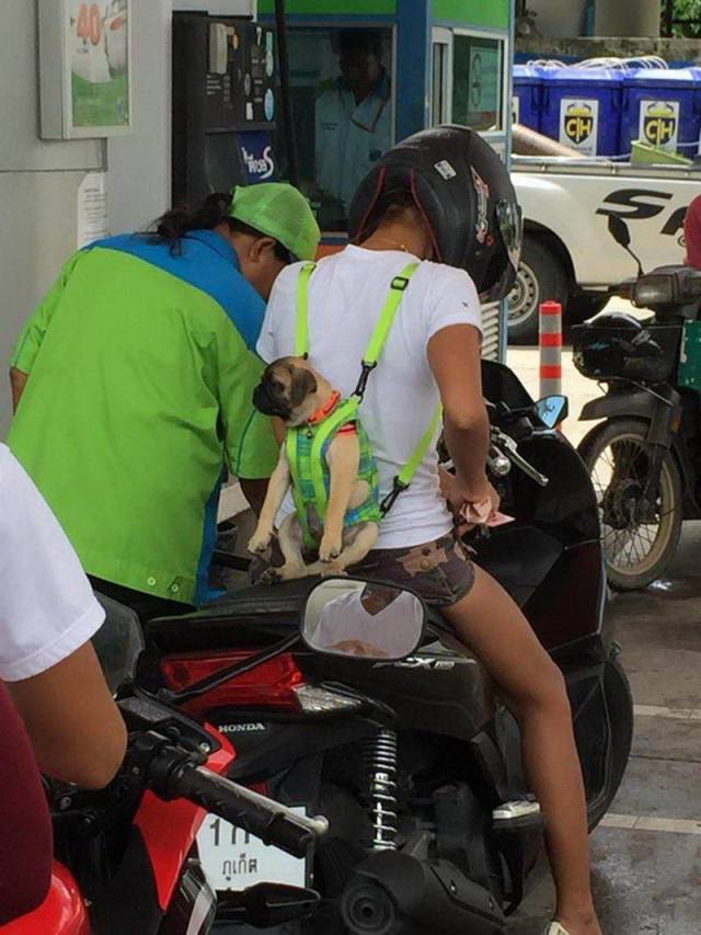 daily picdump 98 pics 8.html - 98 HD Photos | Premium Gallery 2018