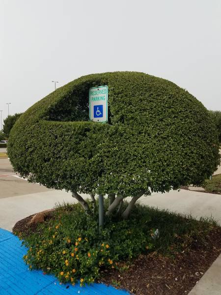 morning picdump 51 pics 25.html - 51 HD Photos | Premium Gallery 2018