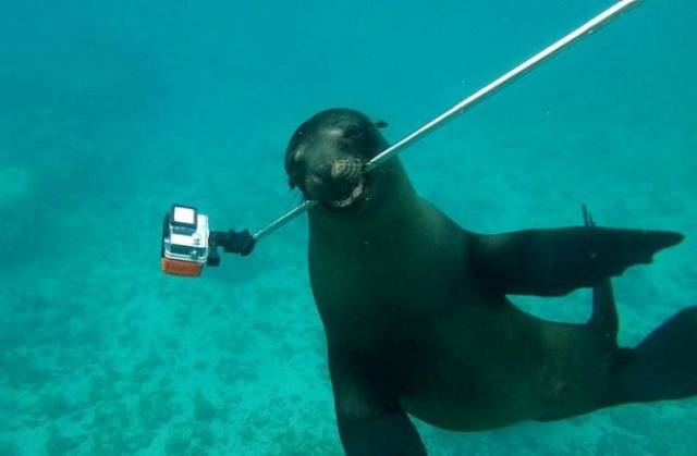 daily picdump 102 pics 5.html - 102 HD Photos | Premium Gallery 2018