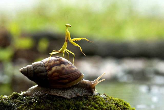 daily picdump 102 pics 5.html - 102 HD Photos | Premium Gallery 2018