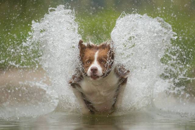 daily picdump 102 pics 5.html - 102 HD Photos | Premium Gallery 2018