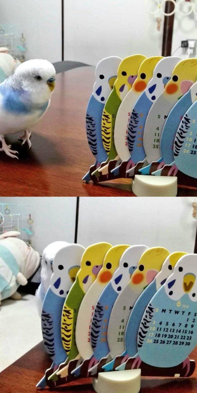 daily picdump 102 pics 5.html - 102 HD Photos | Premium Gallery 2018