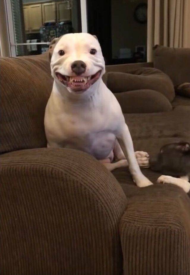 daily picdump 102 pics 5.html - 102 HD Photos | Premium Gallery 2018