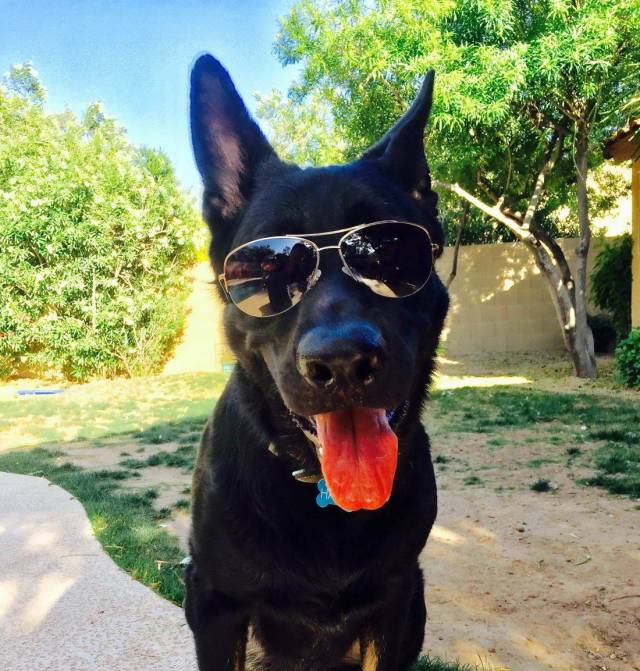 daily picdump 102 pics 5.html - 102 HD Photos | Premium Gallery 2018