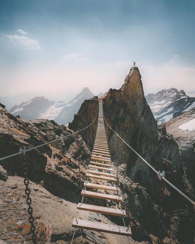 daily picdump 102 pics 5.html - 102 HD Photos | Premium Gallery 2018