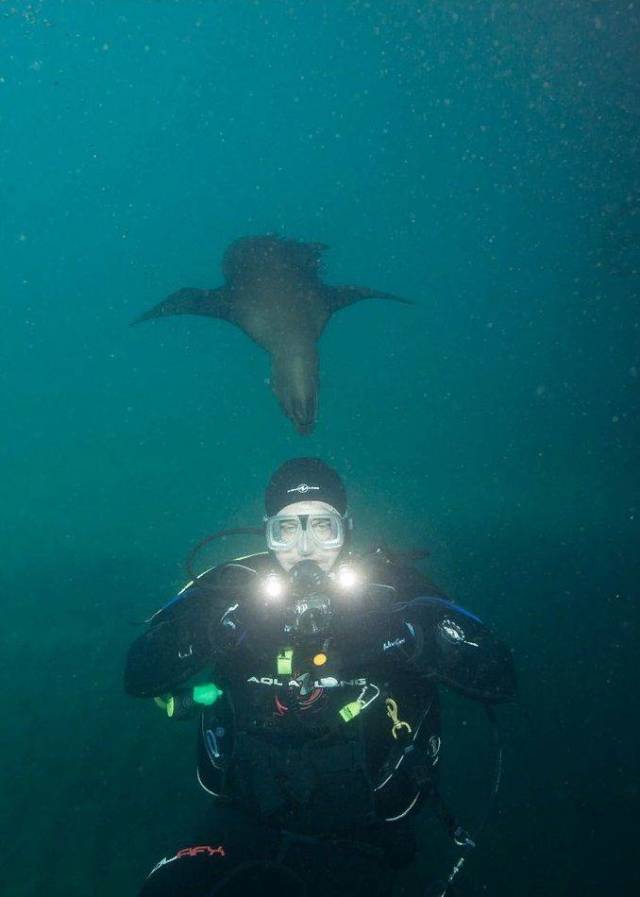 daily picdump 102 pics 5.html - 102 HD Photos | Premium Gallery 2018