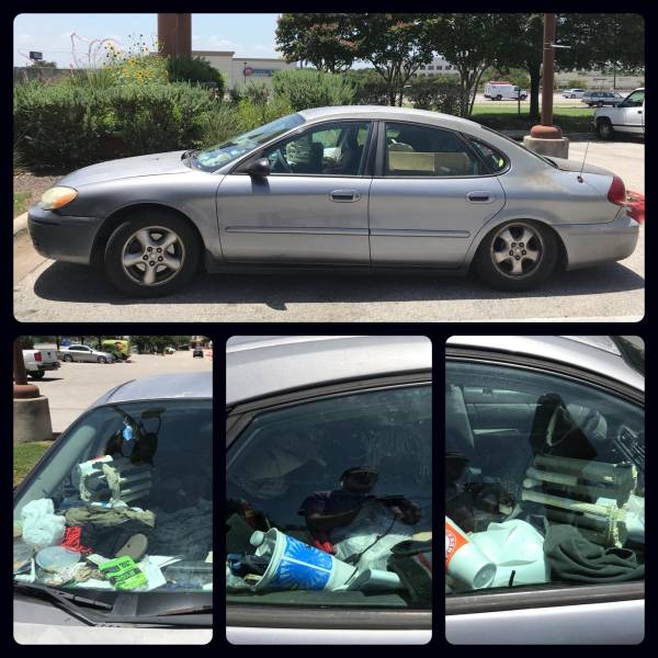 morning picdump 49 pics 12.html - 49 HD Photos | Premium Gallery 2018