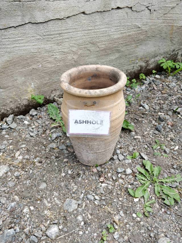 morning picdump 49 pics 12.html - 49 HD Photos | Premium Gallery 2018