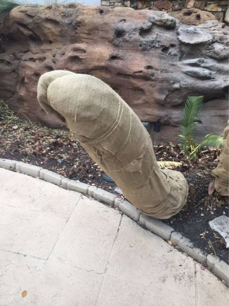 The Moment You Start Seeing Sex Everywhere…