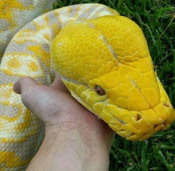 daily picdump 101 pics 38.html - 101 HD Photos | Premium Gallery 2018