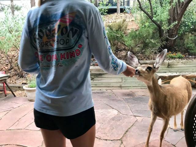 daily picdump 101 pics 38.html - 101 HD Photos | Premium Gallery 2018