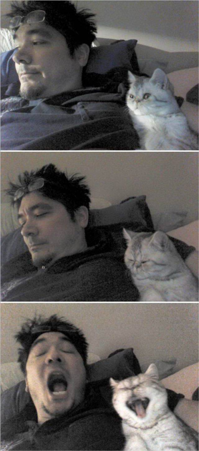 daily picdump 101 pics 38.html - 101 HD Photos | Premium Gallery 2018